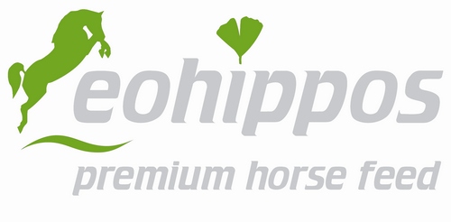 08 10 eohippos