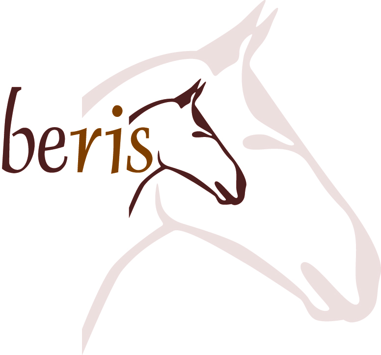 10 2 Beris